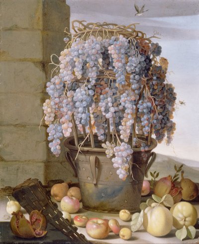 Stilleven met druiven en ander fruit door Luca Forte